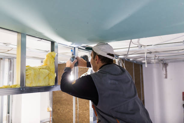 Best Insulation Installation Services in Zachary, LA