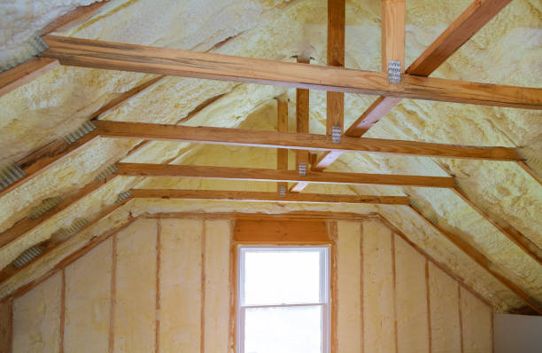 Types of Insulation We Offer in LA