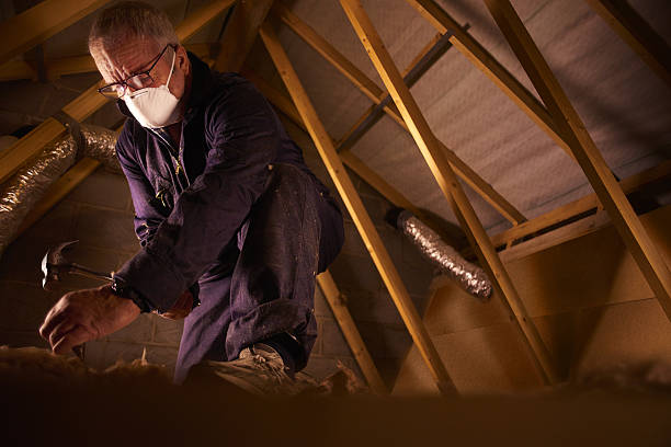 Best Insulation Materials and Products in Zachary, LA