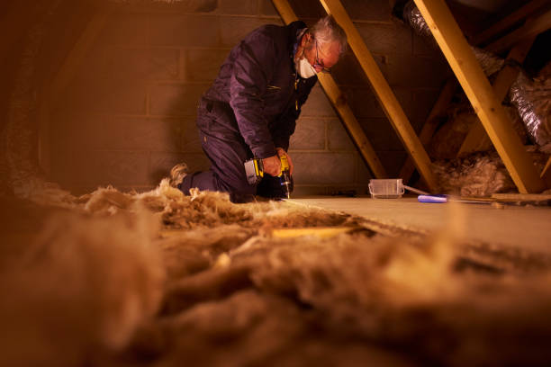Best Types of Insulation in Zachary, LA
