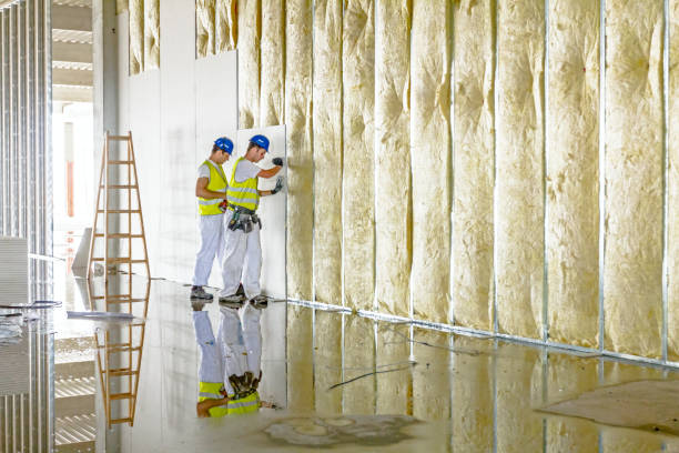 Best Insulation Maintenance and Repair in Zachary, LA